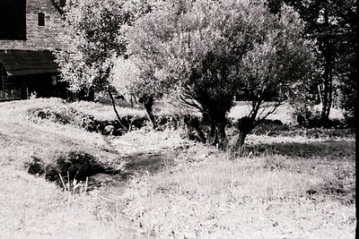 Rural landscape featuring a stone house with weathered brick chimney, surrounded by dry grass and mature olive trees. Mid-20t...
