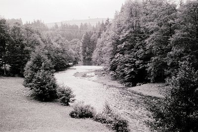Black-and-white landscape featuring a winding river bordered by dense coniferous forest. Overgrown grassy area in foreground ...