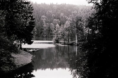 Black-and-white lakeside forest scene with dense coniferous trees framing a calm, reflective body of water. A small dock exte...