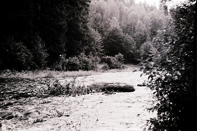 High-contrast black-and-white shot of a shallow, rocky stream bordered by dense forest foliage. Sunlight filters through tree...