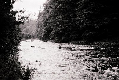 Black-and-white shot of a turbulent river flowing through a dense forest, framed by overhanging branches. The water appears f...