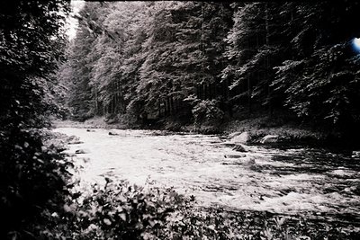 High-contrast black-and-white forest scene featuring a shallow, rocky riverbed surrounded by dense coniferous trees. Dramatic...