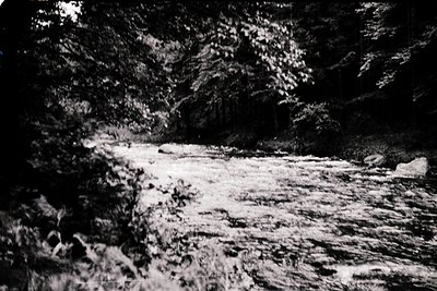 High-contrast black-and-white shot of a narrow, rocky riverbed flanked by dense forest. Sunlight filters through foliage, ill...