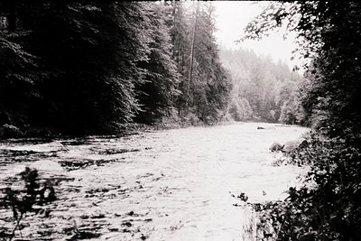 Snow-laden forest path with shallow stream, dense coniferous trees framing both sides. Black-and-white vintage aesthetic sugg...