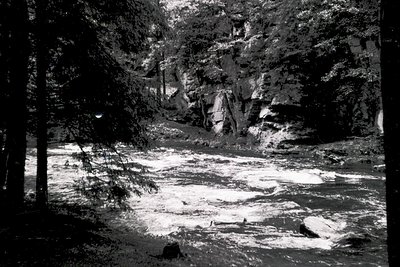 Black-and-white forest scene featuring a rocky riverbed and cascading waterfall framed by dense coniferous trees. Dramatic li...