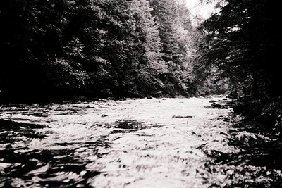 High-contrast black-and-white forest scene with a shallow, rocky stream at center. Dense canopy frames the path, creating a t...
