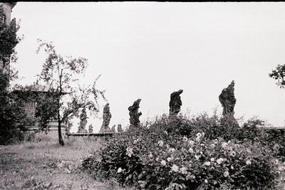 Black-and-white garden scene featuring **19th-century classical statues** aligned along a gravel path. Overgrown shrubs and b...
