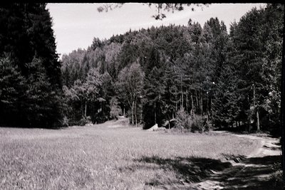 Vintage black-and-white rural landscape featuring a narrow, winding dirt road flanked by dense forest. Open field on left wit...