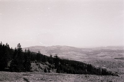 Vintage black-and-white landscape of rolling hills and dense coniferous forest under overcast skies. Mid-20th century aesthet...