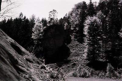 Black-and-white landscape featuring a winding dirt road flanked by dense forest. Prominent rock formation rises from the left...