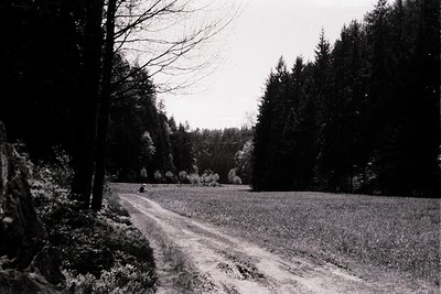 Black-and-white rural road winding through open field bordered by dense forest. Single cyclist in motion, mid-frame, on a nar...