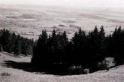 Vintage black-and-white aerial view of forested hillside overlooking rural valley. Dense coniferous trees frame foreground, w...