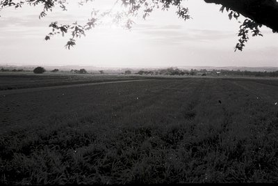 Mid-20th century black-and-white rural landscape featuring plowed fields under a cloudy sky. Distant tree line and scattered ...