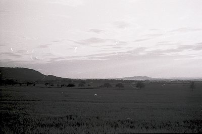 Vast open field with sparse trees under a cloudy sky, likely agricultural land. Mid-20th century rural landscape, possibly Ea...