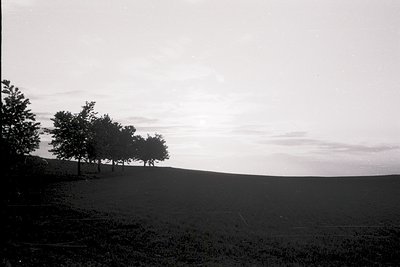 Silhouetted trees frame a vast, open agricultural field under low-lying clouds, likely captured in early 20th-century rural E...