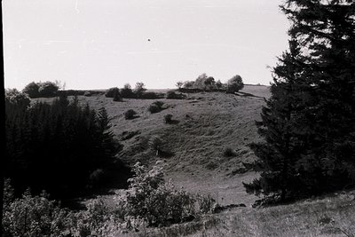 Vintage black-and-white landscape of a rural hillside with sparse vegetation and scattered trees. The terrain appears eroded,...
