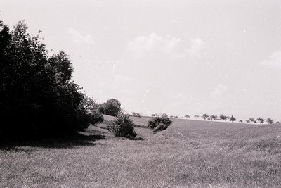 Vintage black-and-white rural landscape featuring rolling grassy hills, scattered trees, and a distant horizon. Mid-20th cent...