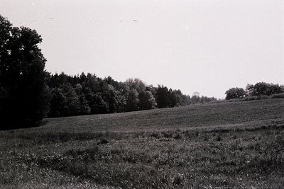 Vintage black-and-white landscape of a gently sloping meadow bordered by dense forest. Overgrown grass and scattered trees do...