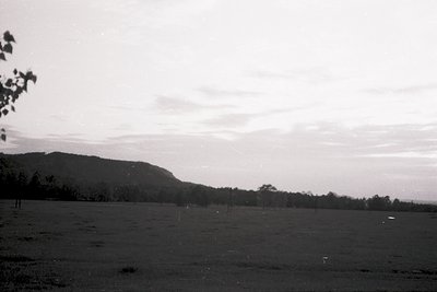 Vintage black-and-white landscape of open grassy field with sparse trees and rolling hills under overcast sky. Mid-20th centu...