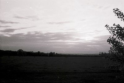 Vintage black-and-white landscape featuring open fields with scattered trees under dramatic, low-hanging clouds. The horizon ...