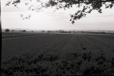 Vintage black-and-white landscape of open fields with scattered vegetation and distant low-lying hills under overcast skies. ...