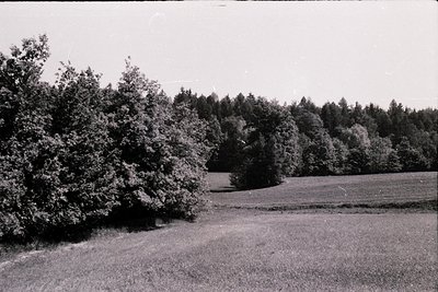 Black-and-white rural landscape featuring dense shrubbery and mature trees framing a plowed field under overcast skies. Likel...