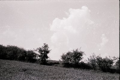 Vintage black-and-white landscape featuring dense shrubbery and rolling terrain under dramatic, billowing clouds. Mid-20th ce...