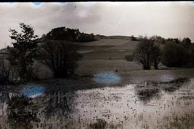 Vintage sepia-toned landscape of a flooded meadow with scattered trees and rolling hills in background. Reflections in shallo...