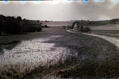 Vintage sepia-toned landscape featuring a flooded meadow with reeds and scattered birds. A narrow dirt path curves through op...