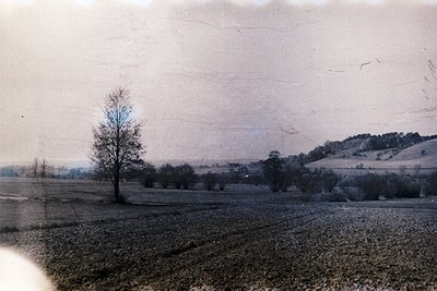 Vintage sepia-toned rural landscape featuring a lone leafless tree in an open field, likely early 20th century. Rolling hills...