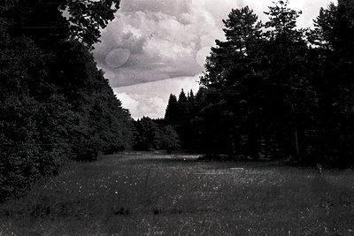 Dense forest canopy framing a misty, sunlit meadow under dramatic storm clouds. Black-and-white monochrome evokes early 20th-...