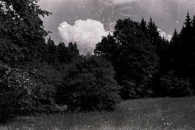 Vintage black-and-white landscape featuring dense forest with mature coniferous trees framing a dramatic, isolated cloud form...