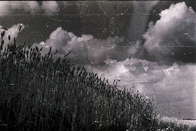 Black-and-white aerial view of dense cloud cover over a field of tall grass, likely captured mid-20th century. The low-angle ...