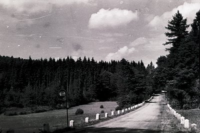 Vintage black-and-white photo of a winding rural road flanked by dense coniferous forest and manicured hedges. Mid-20th centu...