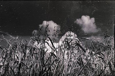 Silhouetted figure in high grass under dramatic storm clouds, mid-20th century rural scene. The lone person’s posture suggest...