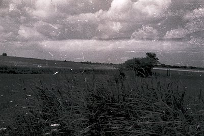 Vintage black-and-white rural landscape with overgrown grass and scattered trees under dramatic, textured clouds. Evidence of...