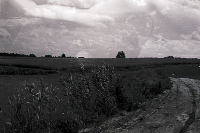 Vintage black-and-white rural landscape featuring overgrown grass and a dirt path leading into a distant, flat horizon. Scatt...