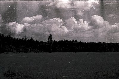 Vintage black-and-white landscape featuring a frozen lake bordered by dense coniferous forest under dramatic, billowing cloud...