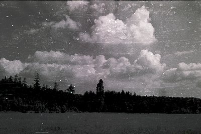 Vintage black-and-white landscape featuring dense coniferous forest under stormy skies with dramatic cloud formations. Silhou...