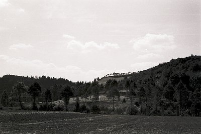 Black-and-white landscape featuring rolling hills and dense forest. Open field in foreground with scattered trees, likely agr...