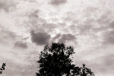 Black-and-white shot of dense, low-hanging clouds framing a lone tree silhouette against a moody sky. Dramatic contrast highl...