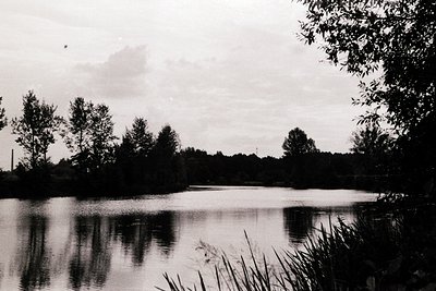 Vintage black-and-white lakeside scene with dense forest framing both sides. Calm water reflects muted light, suggesting earl...