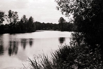 Classic black-and-white lake scene framed by dense foliage, evoking mid-20th century nature photography. Calm water mirrors o...