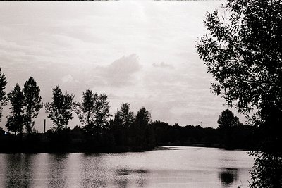 Black-and-white lakeside scene with dense tree line framing both shores. Reflective water surface mirrors overcast sky and fo...