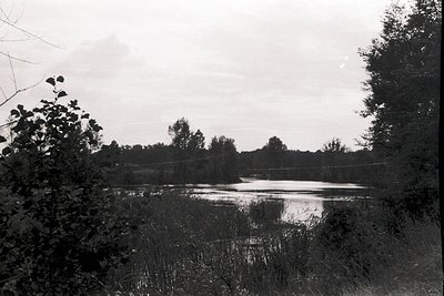 Black-and-white landscape featuring a serene, shallow lake surrounded by dense foliage and trees. Reflections of light on wat...
