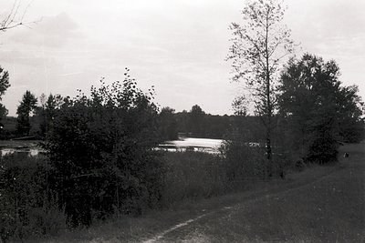 Black-and-white rural landscape featuring a winding dirt path flanked by dense foliage. A serene lake or pond reflects muted ...