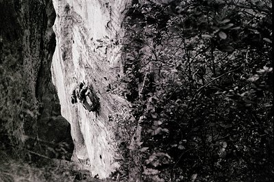 Black-and-white aerial view of a rocky coastal cliffside with faint graffiti markings. The jagged terrain contrasts with the ...