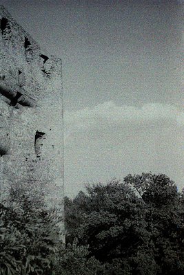 Ruined stone tower with weathered brickwork and arched openings, framed by dense foliage. Black-and-white monochrome suggests...