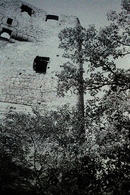 Historic stone fortress wall with weathered bricks and small barred windows, partially obscured by dense foliage. Likely East...