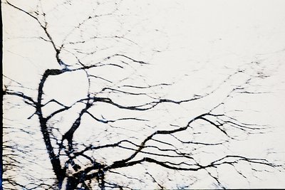 High-contrast aerial view of cracked, dried riverbed or salt flat with intricate network of fissures. Likely a desert or arid...